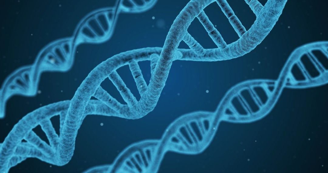 Communiqué de presse Uniterre : Nouvelles techniques de génie génétique à réglementer dans la Loi sur le Génie génétique