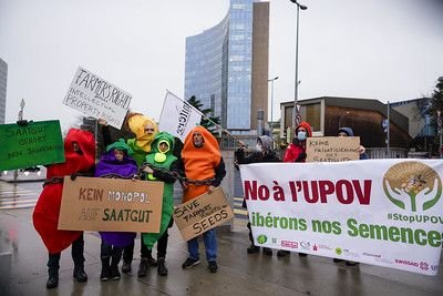 Communiqué de presse commun : Action de protestation à Genève – non à l’UPOV et à la privatisation des semences