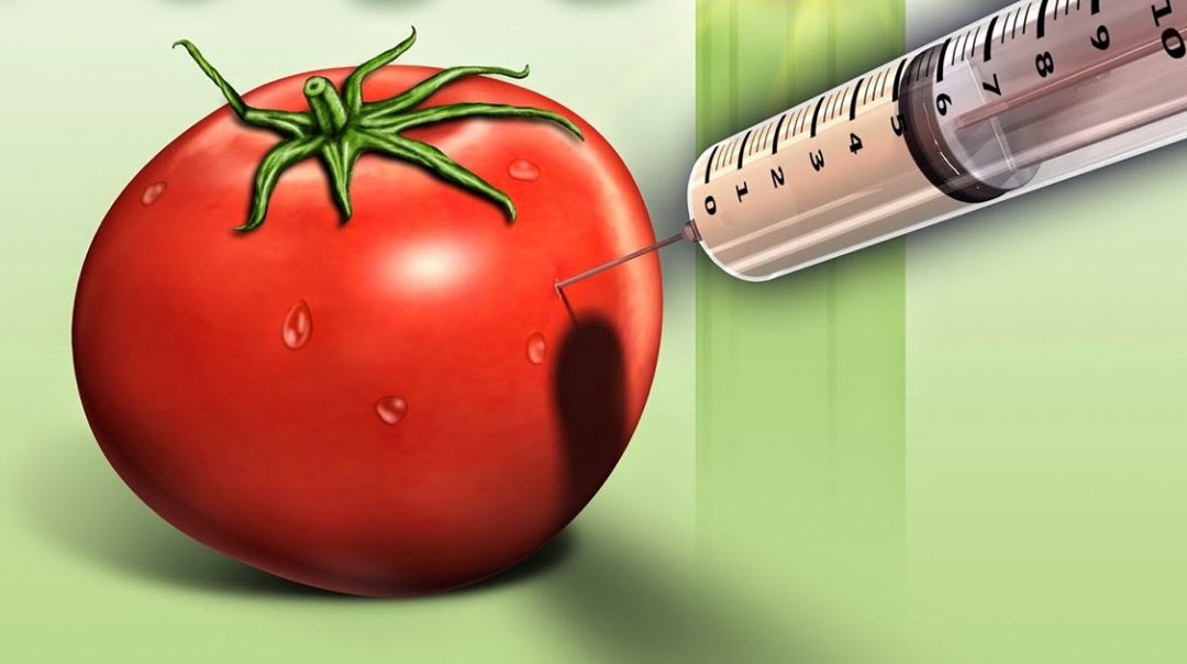 Suspension de l’examen de déréglementation des nouveaux OGM