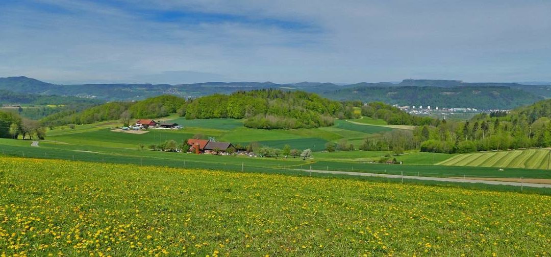 La révision partielle de la LDFR n’endiguera pas la disparition des fermes suisses !