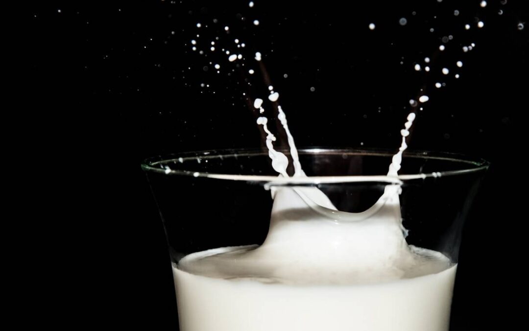 Bedingungslose Verlängerung der Allgemeinverbindlichkeit der Branchenorganisation Milch durch das BLW: eine Schande!